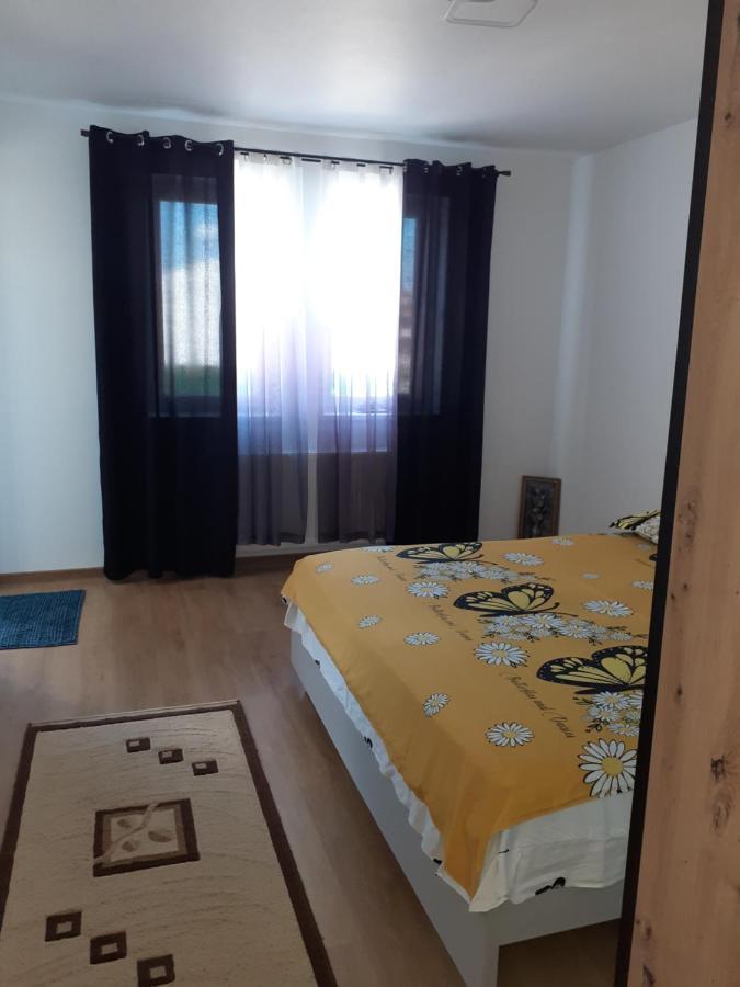 Casa Dana Lejlighed Sibiu Eksteriør billede